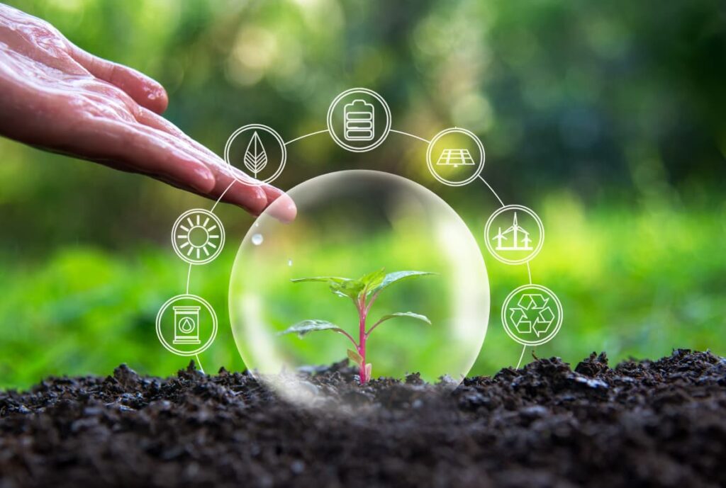 Environmental Impact Assessment/Audit: